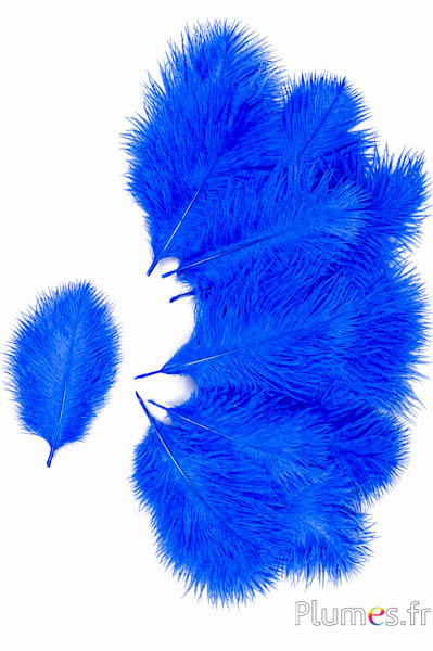 Struisvogel Bellies -8-13 cm - blauw 